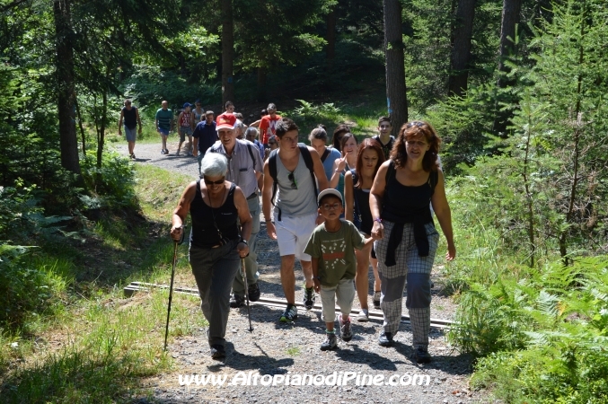 Camminando Insieme 2013