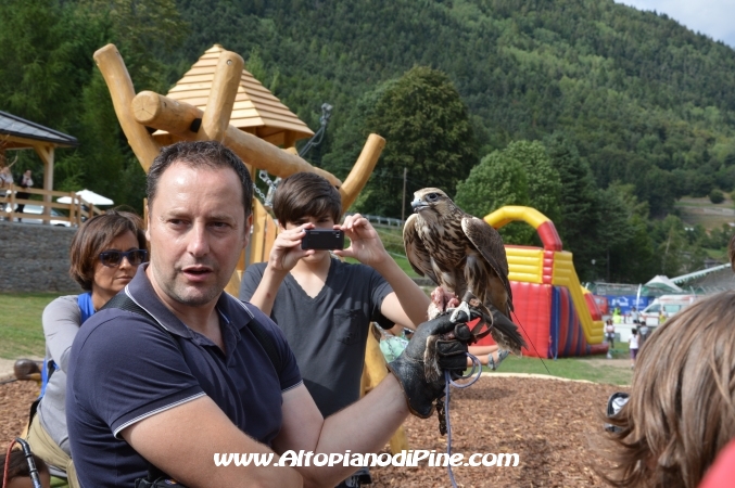 Capusati Summer Fest 2013 - Campolongo