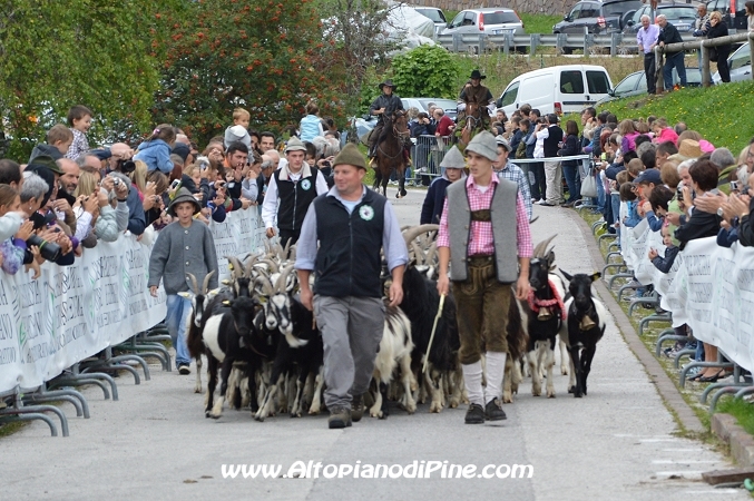 Desmalgada 2013 - Centrale di Bedollo