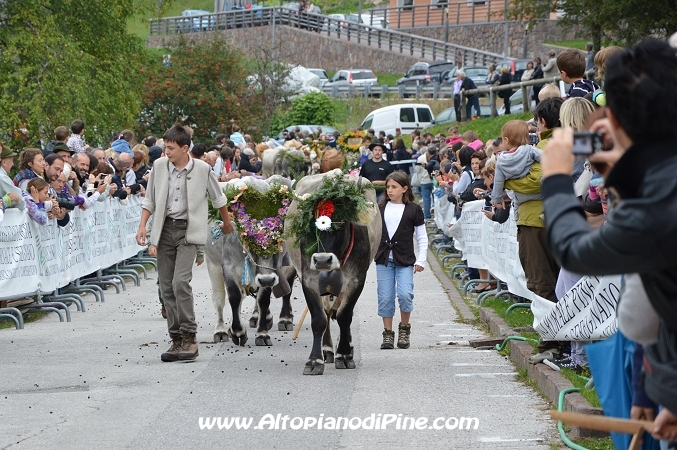 Desmalgada 2013 - Centrale di Bedollo