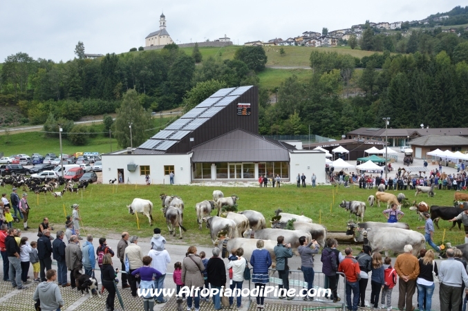 Desmalgada 2013 - Centrale di Bedollo