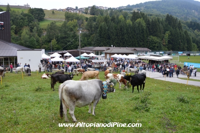 Desmalgada 2013 - Centrale di Bedollo
