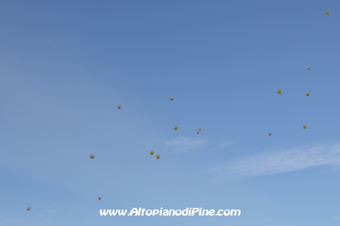 I palloncini liberati in aria dai ragazzi - Concordia sulla Secchia 24 novembre 2013