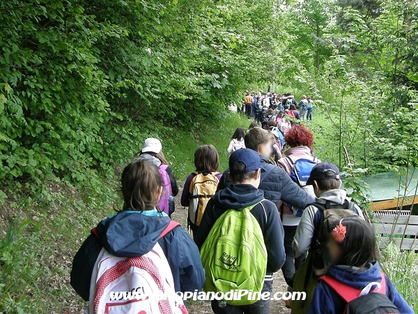 Gemellaggio Fossoli-Miola 2013 - piante ed erbe sul dosso di Vigo assieme ai custodi forestali