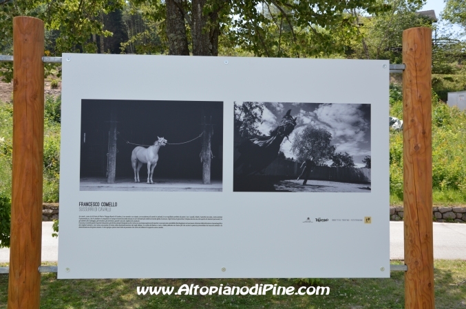 Fototrekking Obiettivo Altopiano di Piné e Valle di Cembra