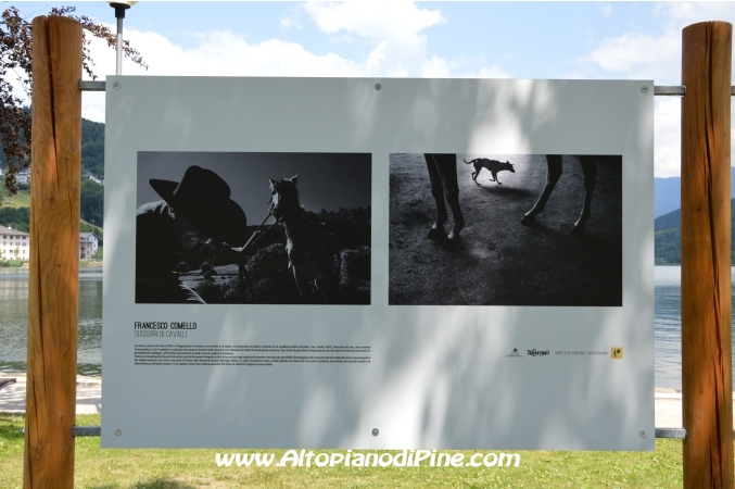 Fototrekking Obiettivo Altopiano di Piné e Valle di Cembra