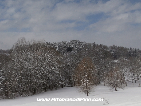 Inverno 2012-2013