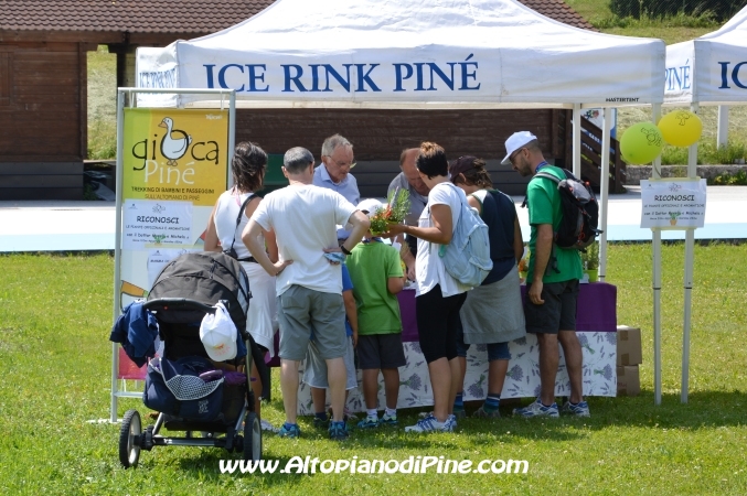 Gi'Oca Piné 2014