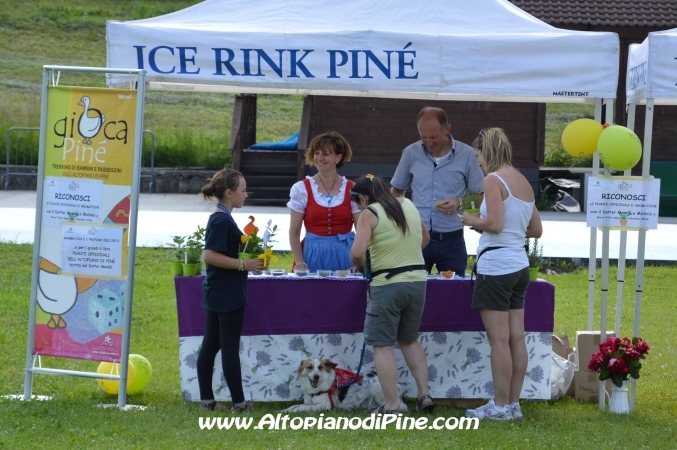 Gi'Oca Piné 2014