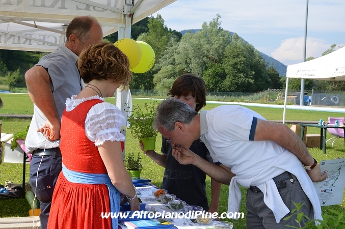 Gi'Oca Piné 2014