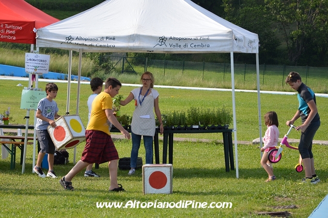 Gi'Oca Piné 2014