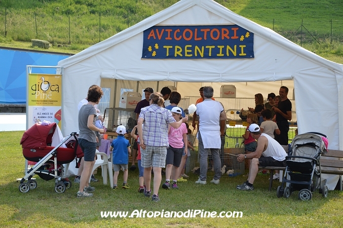 Gi'Oca Piné 2014