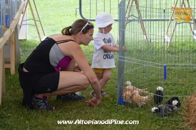 Gi'Oca Piné 2014