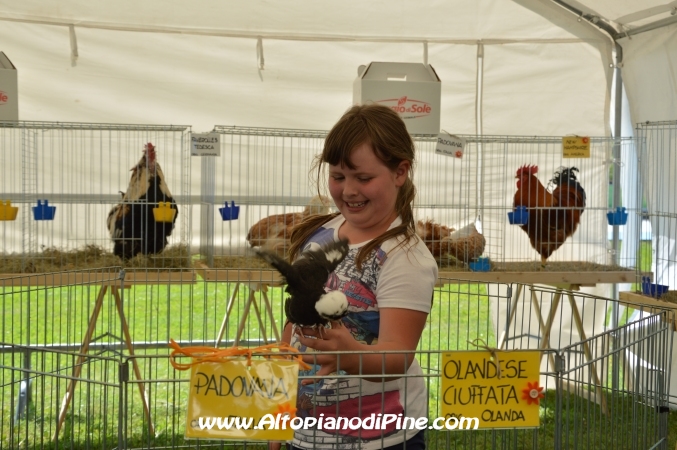 Gi'Oca Piné 2014