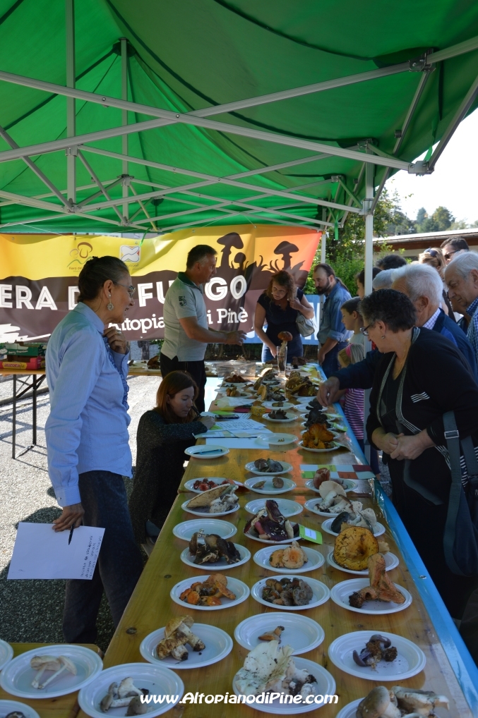 Fiera del fungo - Baselga di Piné agosto 2014