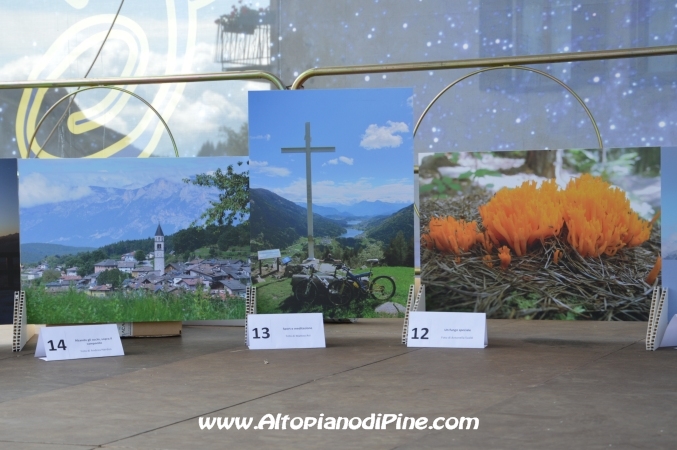 Fiera del fungo - Baselga di Piné agosto 2014