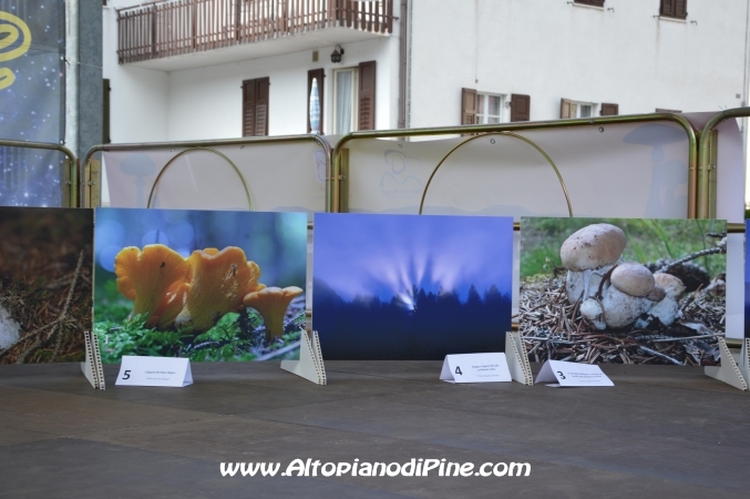 Fiera del fungo - Baselga di Piné agosto 2014