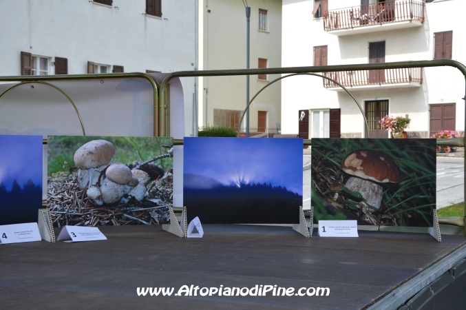 Fiera del fungo - Baselga di Piné agosto 2014