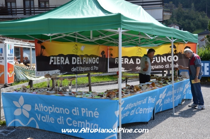 Fiera del fungo - Baselga di Piné agosto 2014