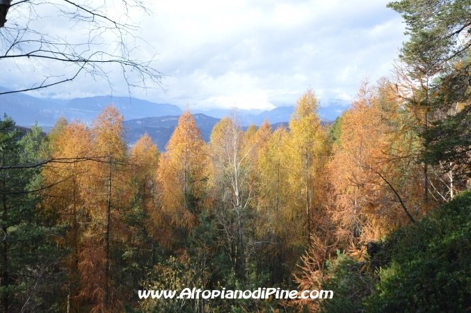 Autunno a Baselga