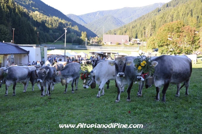 Desmalgada 2014 - Centrale di Bedollo