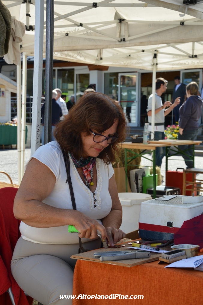 Desmalgada 2014 - Centrale di Bedollo