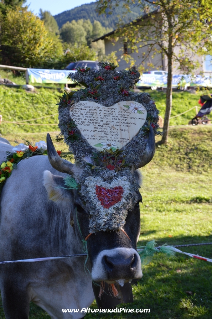 Desmalgada 2014 - Centrale di Bedollo