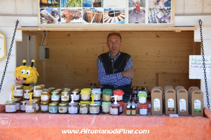 Desmalgada 2014 - Centrale di Bedollo