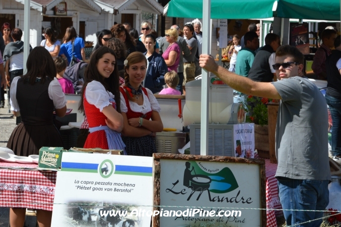Desmalgada 2014 - Centrale di Bedollo