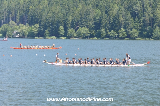 Dragon Festival 2014 - Baselga di Pine'