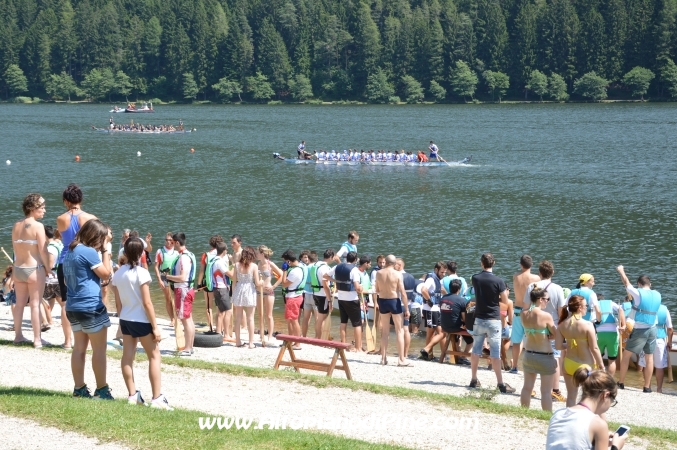 Dragon Festival 2014 - Baselga di Pine'