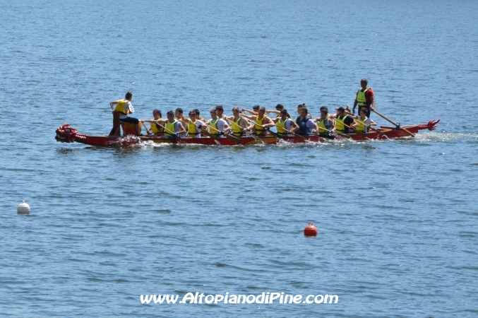 Dragon Festival 2014 - Baselga di Pine'