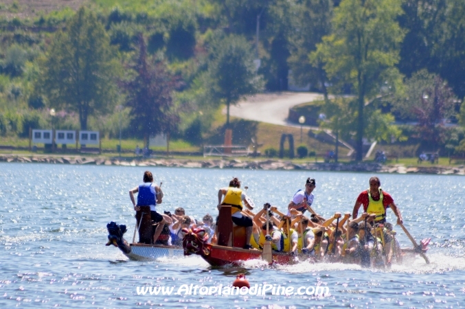 Dragon Festival 2014 - Baselga di Pine'