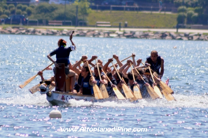 Dragon Festival 2014 - Baselga di Pine'