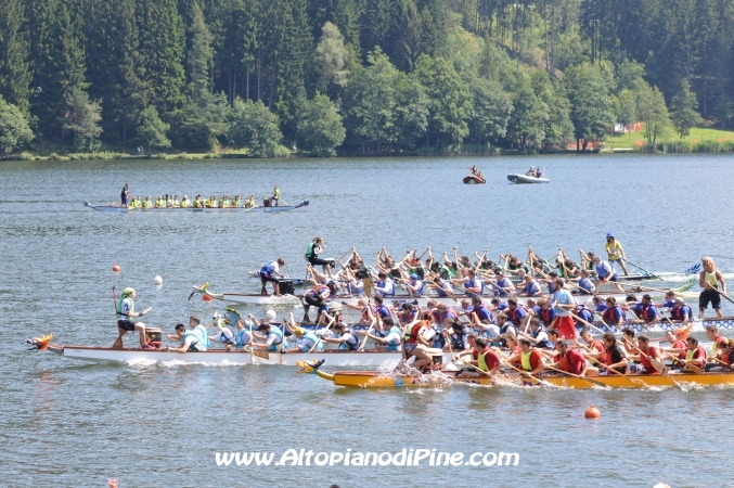 Dragon Festival 2014 - Baselga di Pine'
