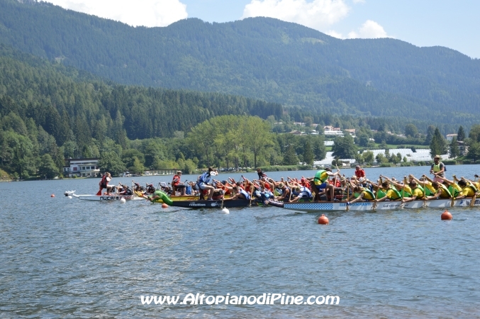 Dragon Festival 2014 - Baselga di Pine'
