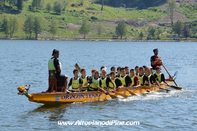 Dragon Festival 2014 - Baselga di Pine'