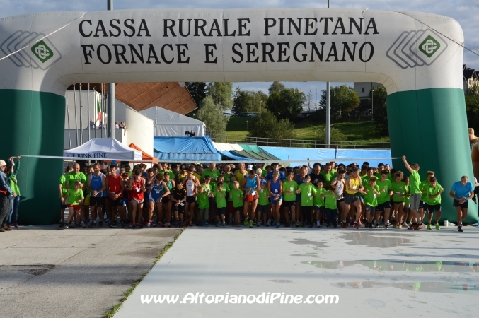 Tut Piné 2014