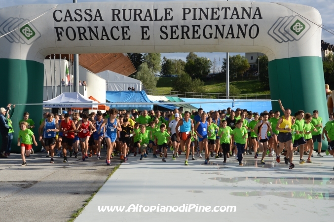 Tut Piné 2014