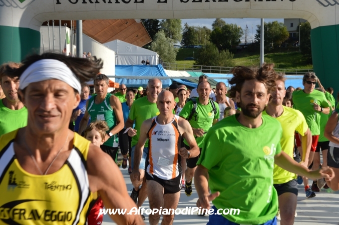 Tut Piné 2014