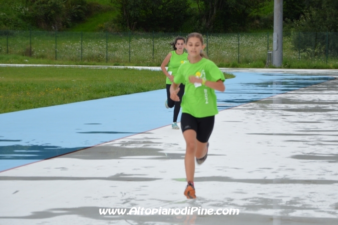 Tut Piné 2014