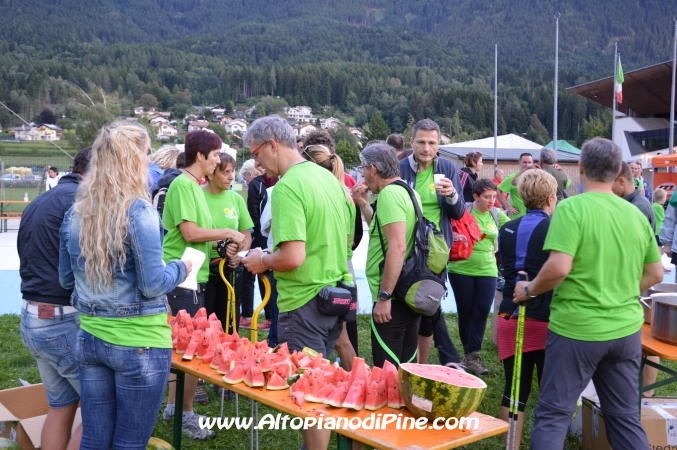 Tut Piné 2014