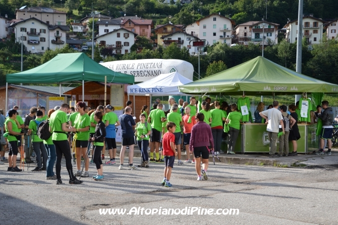 Tut Piné 2014