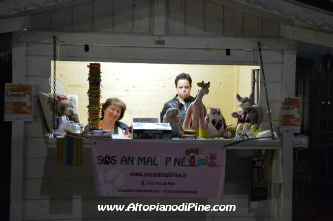 Piné  sotto le stelle 2014