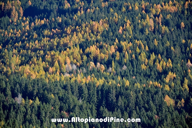 Autunno 2015
