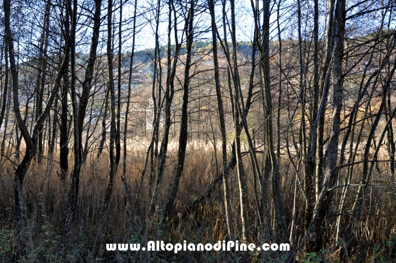 Autunno 2015