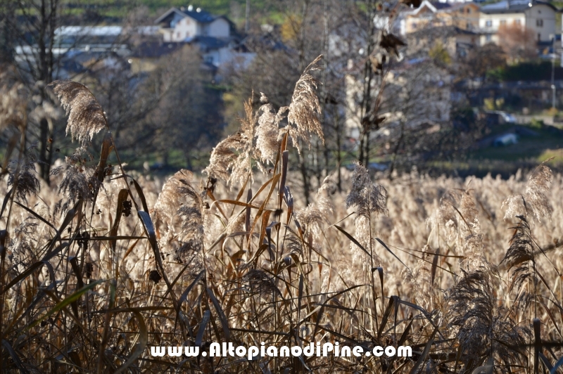 Autunno 2015