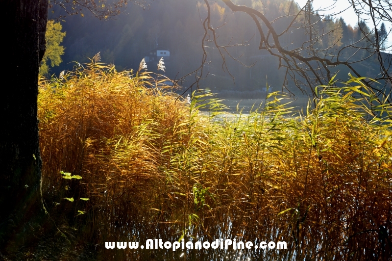 Autunno 2015