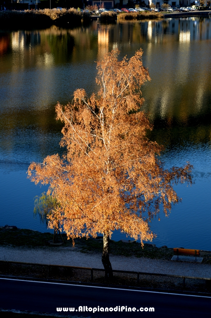 Autunno 2015