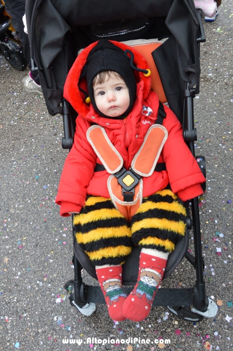 Pineé - Carnevale 2015 